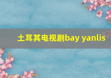 土耳其电视剧bay yanlis